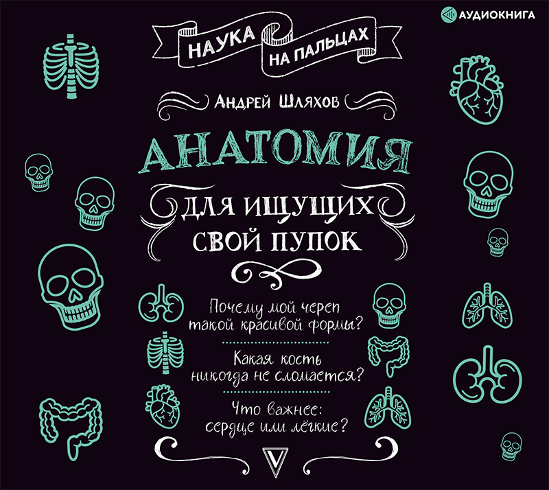 Обложка книги Анатомия для ищущих свой пупок