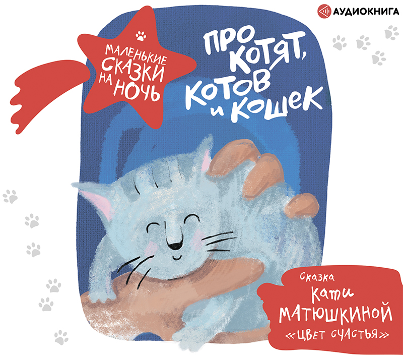 Обложка книги Про котят, котов и кошек