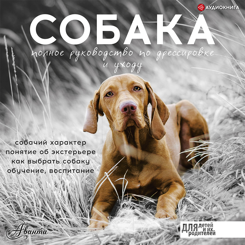 Обложка книги Собака. Полное руководство по дрессировке и уходу